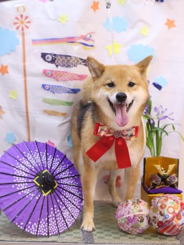 20240515リンちゃん